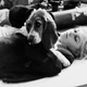 Brigitte Bardot y su perro. AP